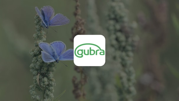 Gubra: Wrap up from interview with CEO Henrik Blou and CFO Kristian Borbos