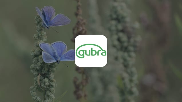 Gubra: UCN2 enters the clinic with an ambitious Phase 1/2a design and an R&D Day date