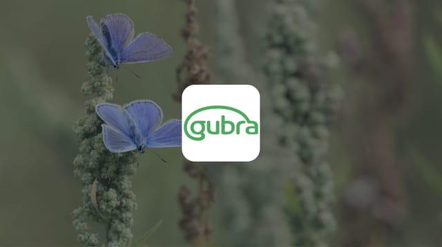 Gubra (Investment Case): Differentiated way to play obesity, with validation continuing to build