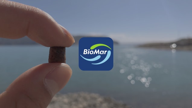 BioMar: Presentation of the H1 2026 Half-Year Report (Recording)