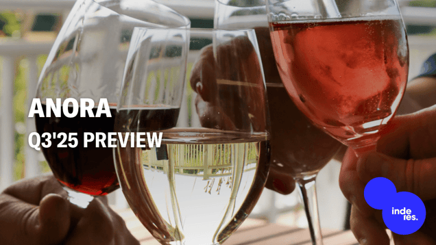 Anora Q3'25 preview: Flat year-on-year development in forecasts