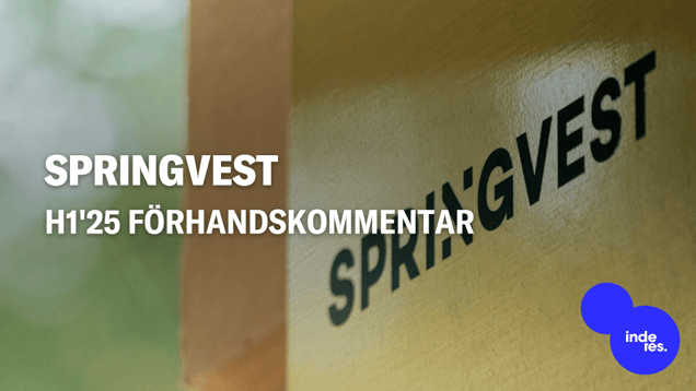 Springvest H1'25 förhandskommentar: Nedkylning efter ett toppår