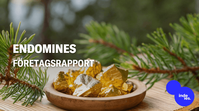 Endomines Q2'26: Produktionskostnaderna behöver förbättras under resten av året