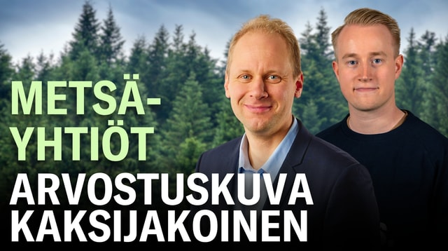Metsäyhtiöt: Arvostuskuva kaksijakoinen