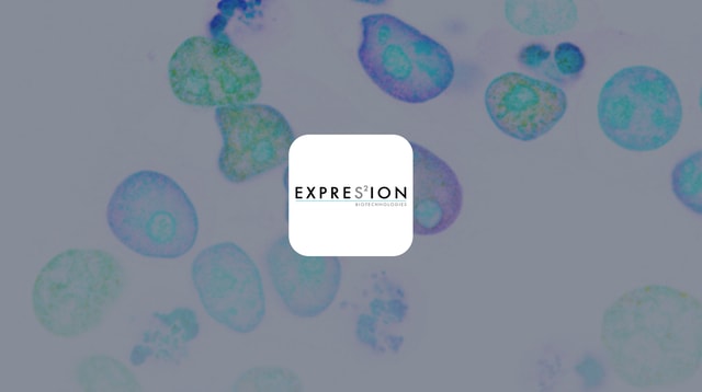 ExpreS2ion Biotech (One-pager): Progress continues on both pipeline and partner driven programs