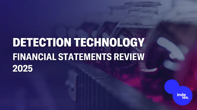 Detection Technology, Financial statements review 2025