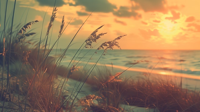 Miten sijoitusyhtiön omistaja voi varautua kuolemansa varalta?