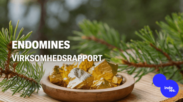 Endomines Q2'26: Produktionsomkostningerne skal forbedres i resten af året