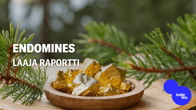 Endomines laaja raportti: Mahdollisuuksien mukana roimasti riskiä