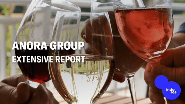 Anora Extensive Report: Efficiency compensates for lack of growth